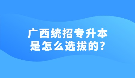 广西统招专升本是怎么选拔的？.jpg